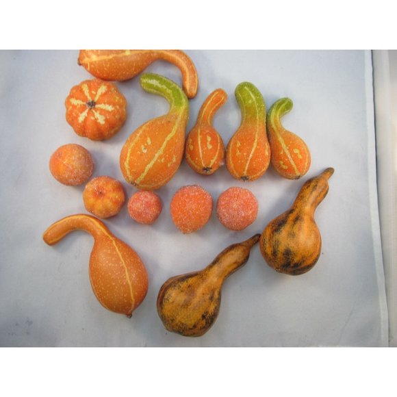 Variety of 14 Fall Decorative Artificial Pumpkins Squash Home Decor - Picture 9 of 12